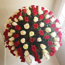 Arreglo Floral De 200 Rosas De Generosos Botones En Base De Talavera