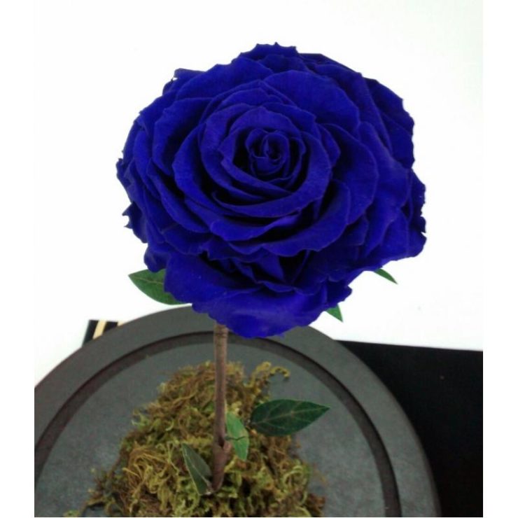 Arreglo floral de flores azules