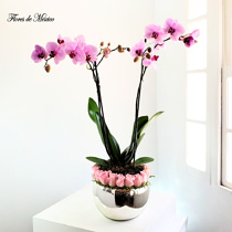 Elegante orquídea con rosas en base cromada