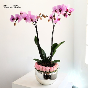 Elegante orquídea con rosas en base cromada - Image 3
