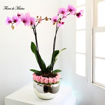 Elegante orquídea con rosas en base cromada - Image 4