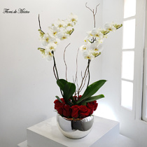 Elegante orquídea con rosas en base cromada