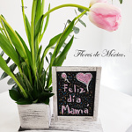 Arreglo tulipanes para Mamá - Image 2