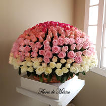 Enorme Arreglo De 365 Rosas Premium.
