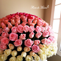Enorme Arreglo De 365 Rosas Premium.