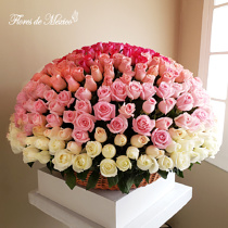 Enorme Arreglo De 365 Rosas Premium.
