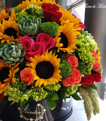 Flores De México