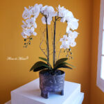 Orquídea cascada en base prehispánica. - Image 3
