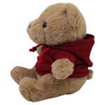 Tierno osito - Image 3