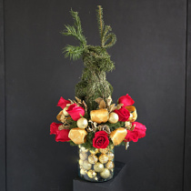 Navidad Encantada