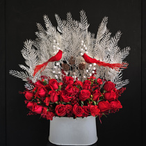 Invierno Cardinal