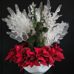 Encanto Navideño - Image 5