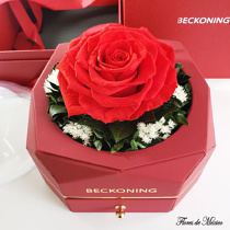 Rosa eterna roja en exclusivo estuche rojo
