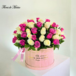 Avenue des Roses - Image 5