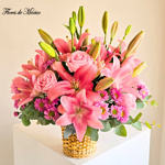 Cielo de Rosas