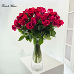 Eterno Amor - Image 4