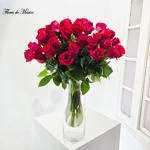 Eterno Amor - Image 2