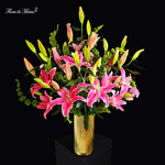 Esplendor Rosa