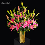 Esplendor Rosa - Image 4