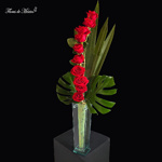 Escala de Amor - Image 2