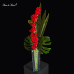 Escala de Amor - Image 4