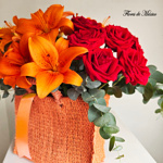 Sol de vida - Image 2