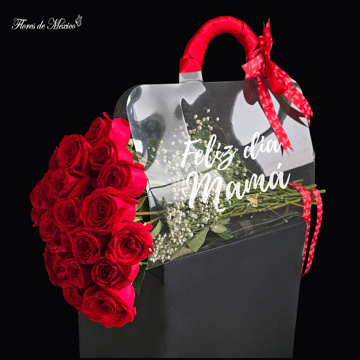 Amor Absoluto - Image 3