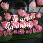 Amanecer Floral - Image 4