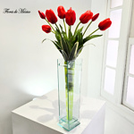Tulipán Rubí - Image 2