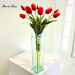 Tulipán Rubí - Image 4