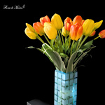 Tulipán Solar - Image 5