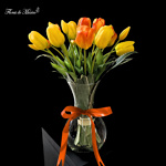 Luz de Vida - Image 5