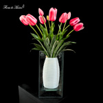 Aura rosa