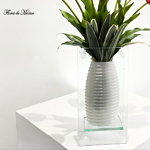 Aura rosa - Image 5