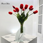 Tulipanes en Eclipse