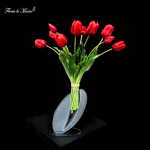 Tulipanes en Eclipse - Image 6