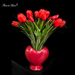 Latidos de amor