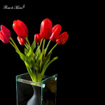 Amor Floral - Image 2