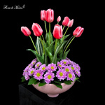 Danza Floral - Image 4