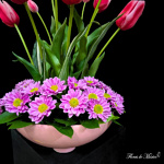 Danza Floral - Image 2