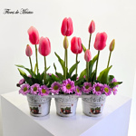 Tercia primaveral - Image 3