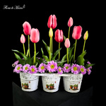 Tercia primaveral - Image 4