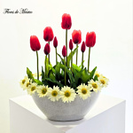 Tulipanes en Armonía - Image 5