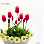 Tulipanes en Armonía - Image 4