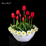 Tulipanes en Armonía - Image 3