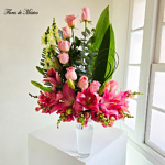 Dulce Armonia - Image 3