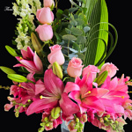 Dulce Armonia - Image 2